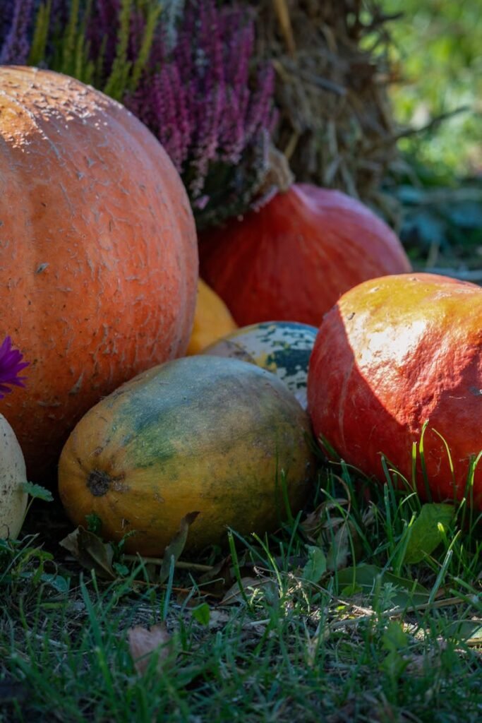 15 Cozy 30-Minute Fall Dinners (And the Best Cookware to Make Them Easy) 1 Colorful pumpkins and flowers in a vibrant autumn harvest scene outdoors.